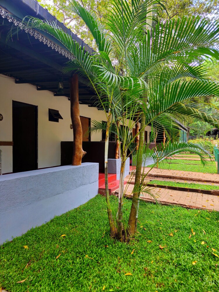 Udawalawe Safari VIllage By Plateeno
