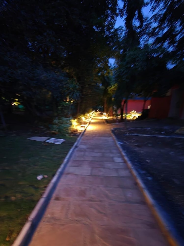 Photo 45