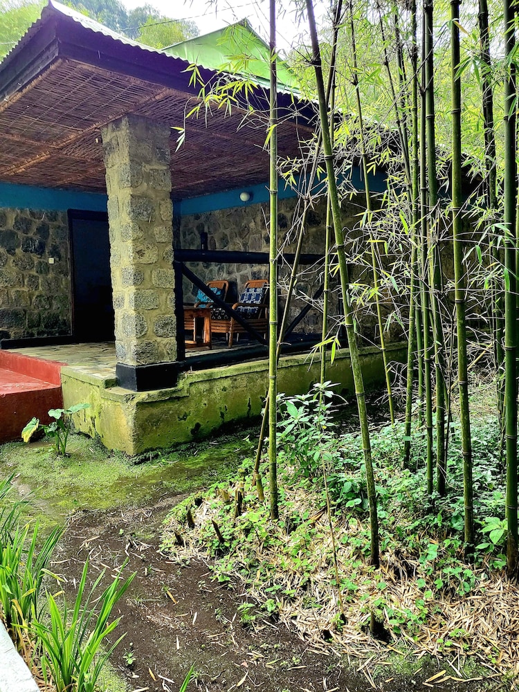 Bambou Gorila Hotel