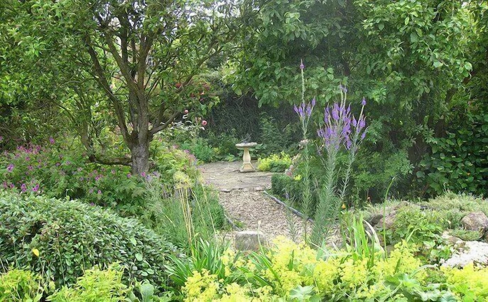 Photo 23