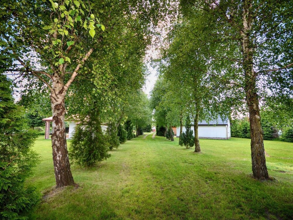 Spacious and Comfortable Holiday Homes With Pool