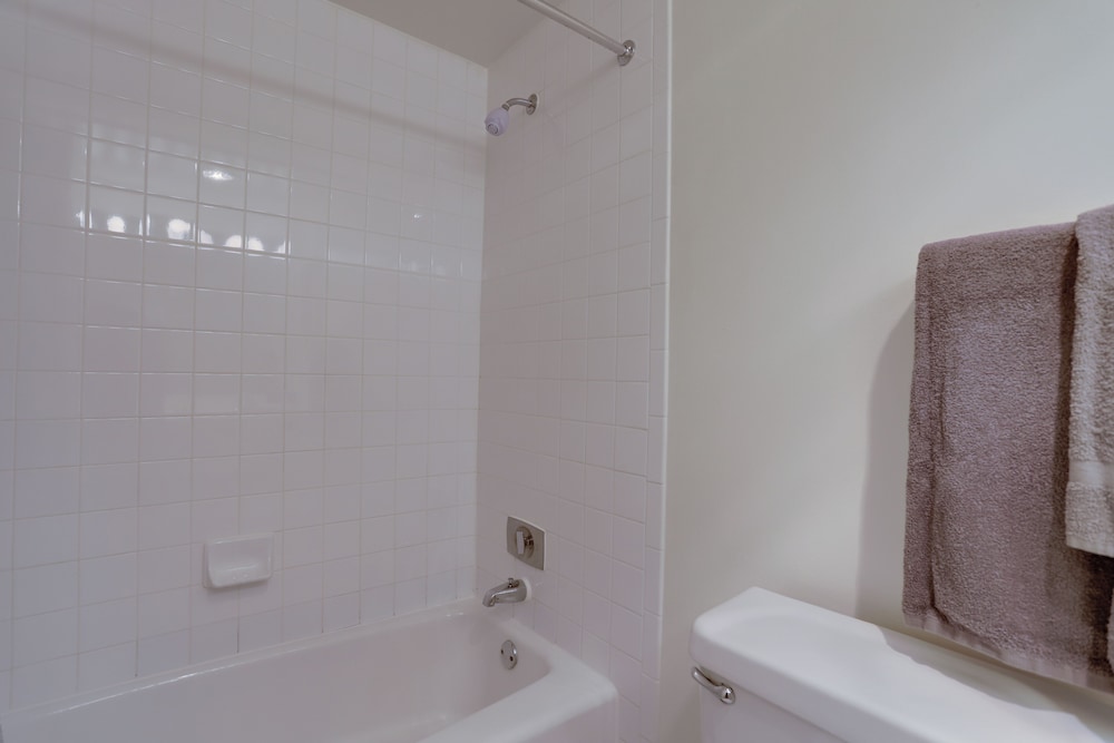 Crystal City Condo w Top Amenities