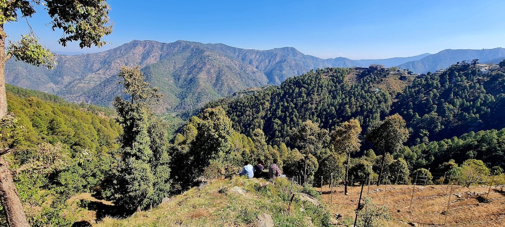 The Pluck Umagarh view 2