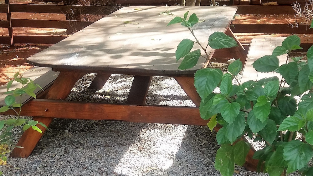 Woodland Gardens