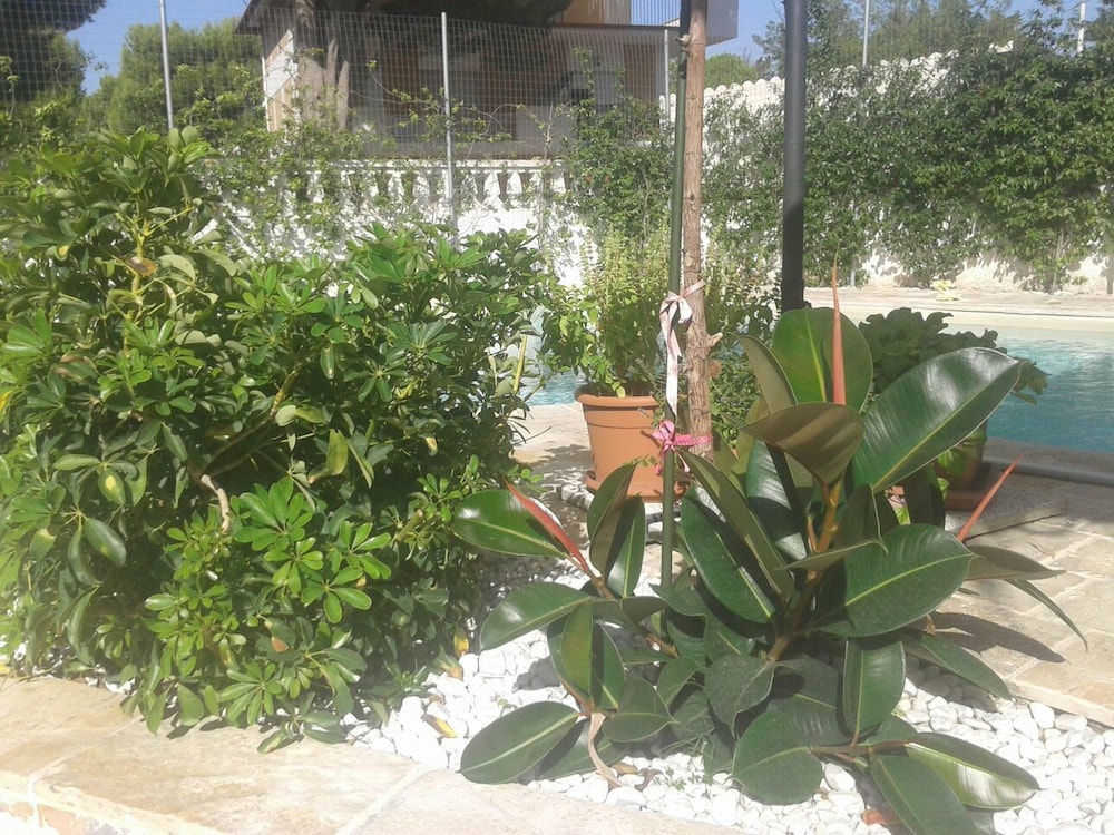 Villa Angelina