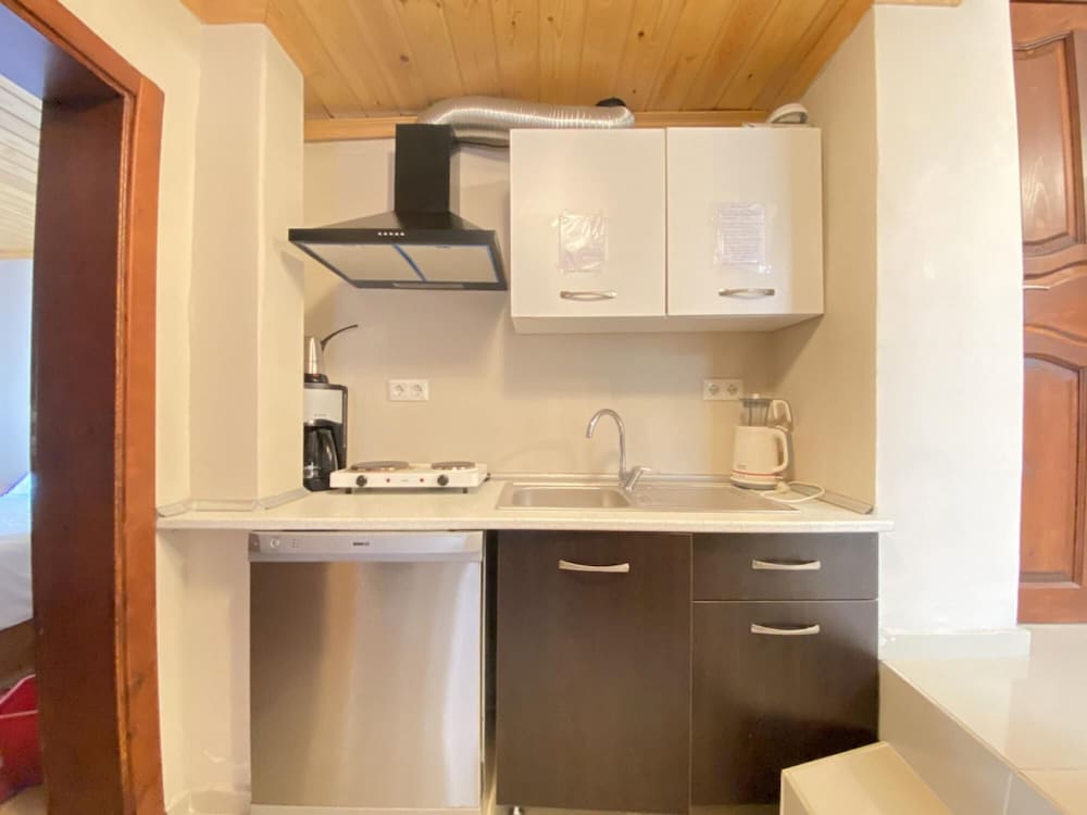 Historical Duplex Villa With Patio in Beyoglu