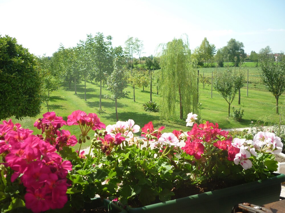 B&B La Fonte