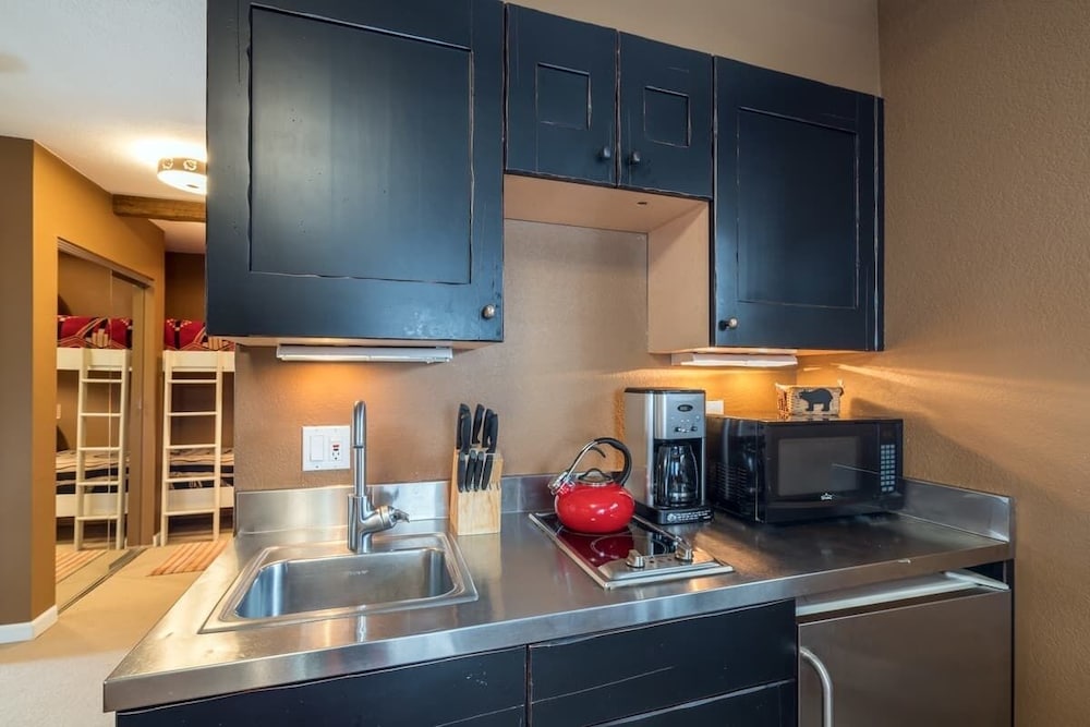 Viking Lodge Condos - Telluride Ski Resort
