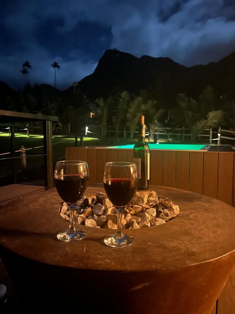 Bosques de Cocora Donde Juan B