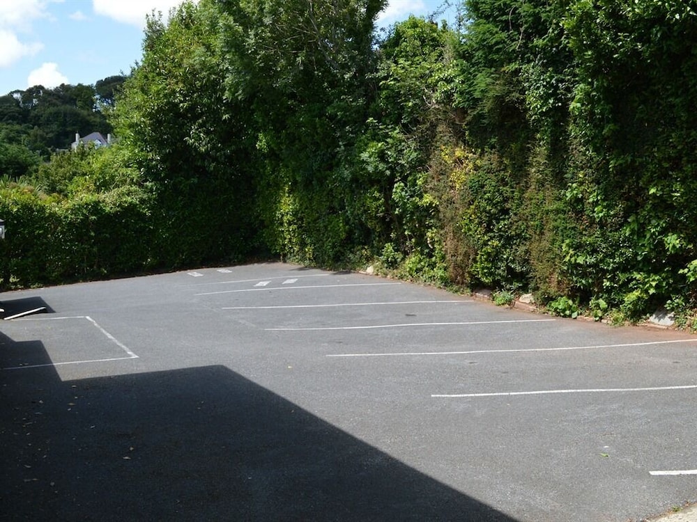 Photo 41