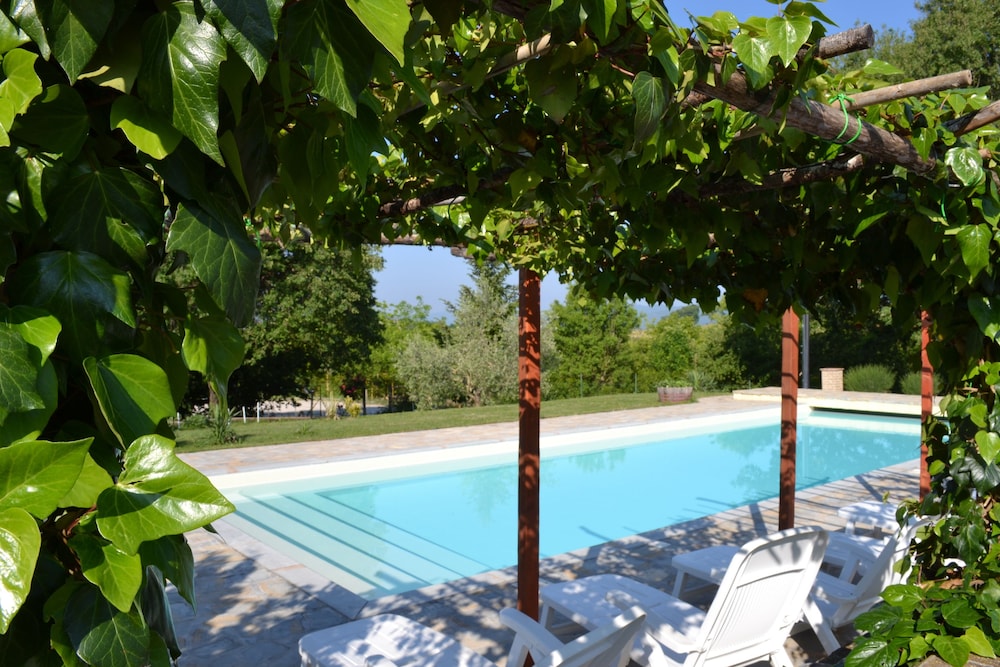 Agriturismo Collina Dei Fagiani, photo 31