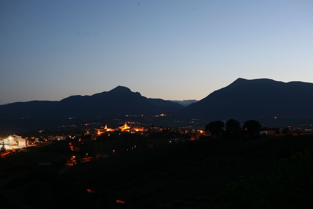 Photo 41
