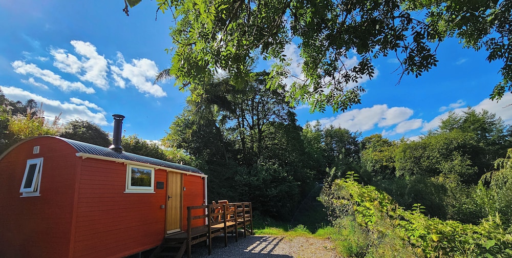 Red Kite at Wild Valley Huts