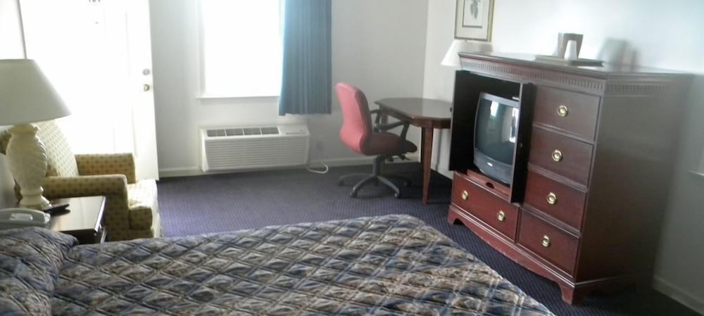 Photo 7