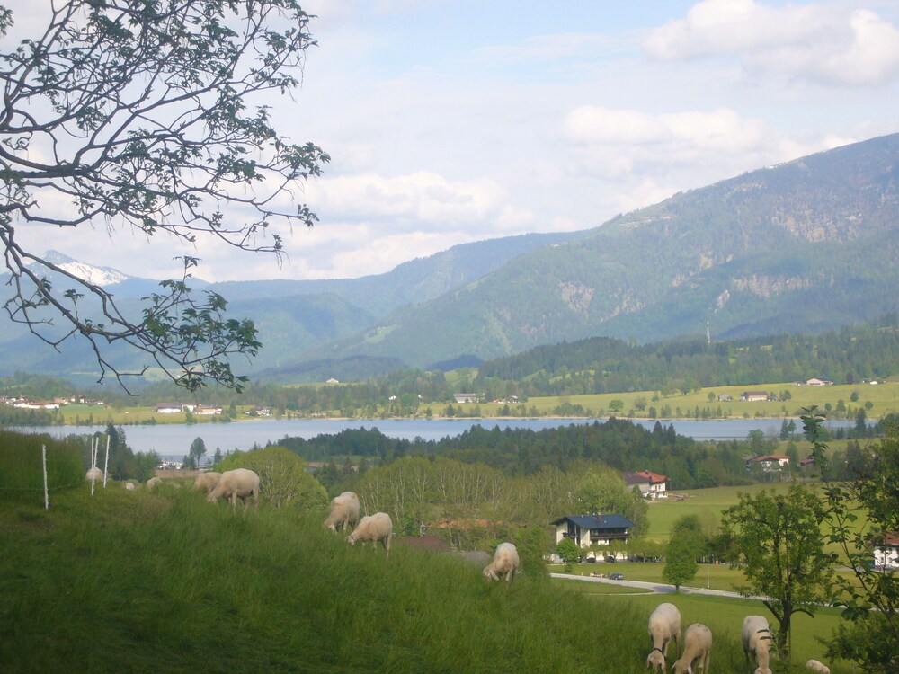 Steindlhof in Walchsee