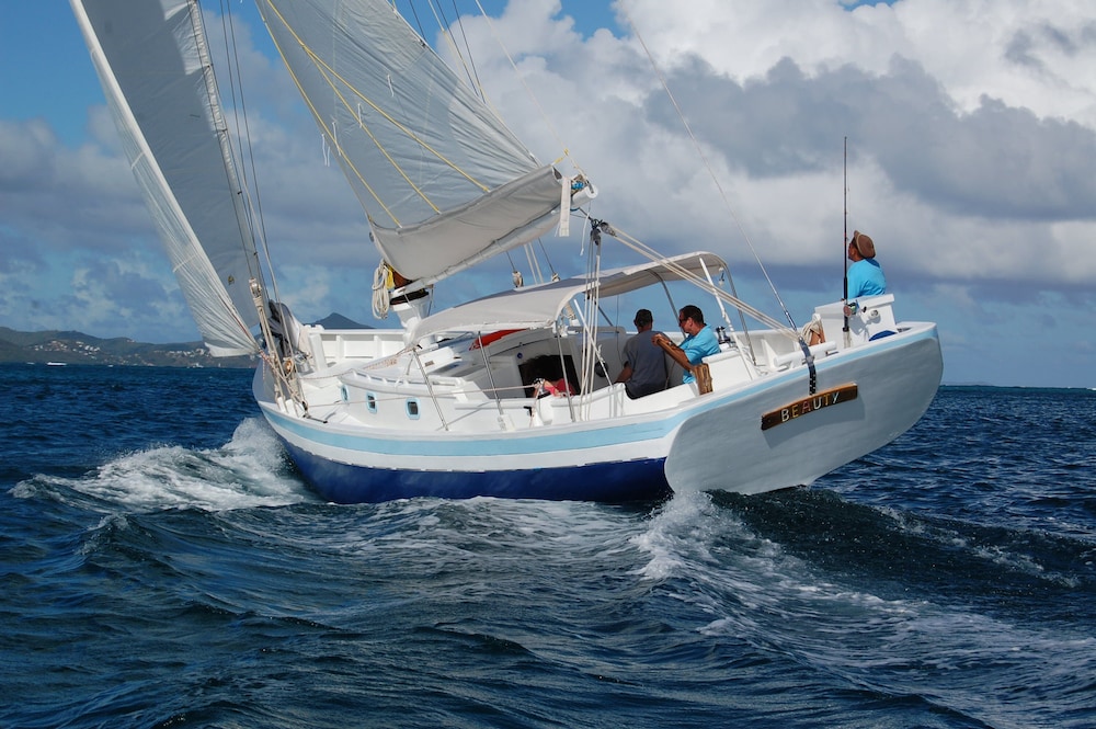 Petit St. Vincent