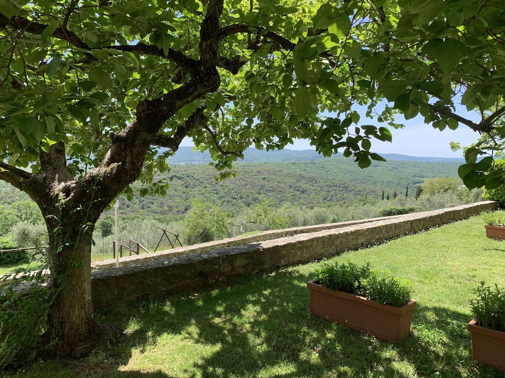 Villa in Tuscany With Pool and Wine Tasting view 3