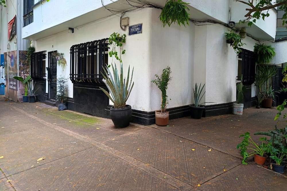 Ave Ámsterdam at Parque México — Mexico City