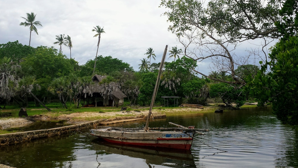 Mikoko Cove Ecolodge