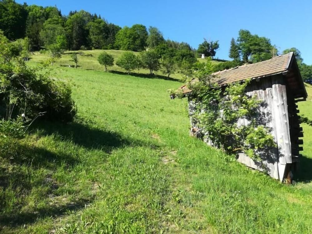 Charming Apartment in Goldegg, Austria - Mountain Views & Private Entrance
