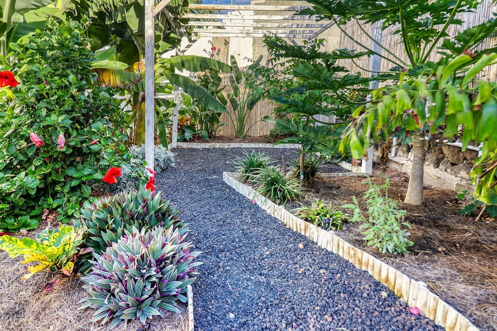 Special Home w Tropical Garden Near Seaside