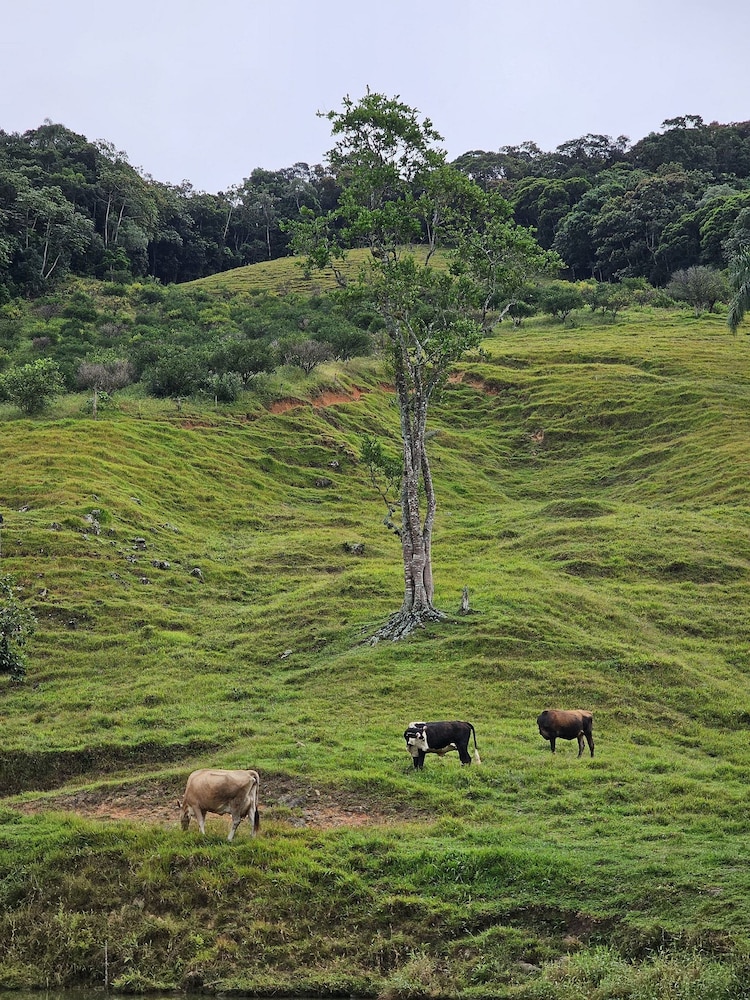Refúgio da Montanha - Angelina - SC