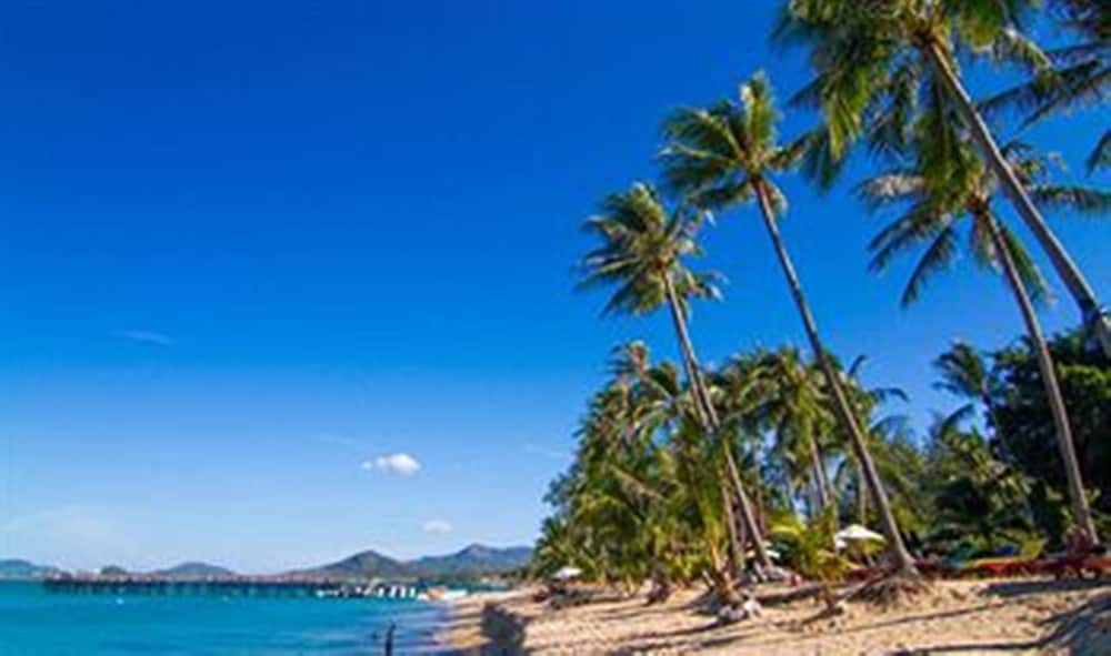 Coco Palm Beach Resort