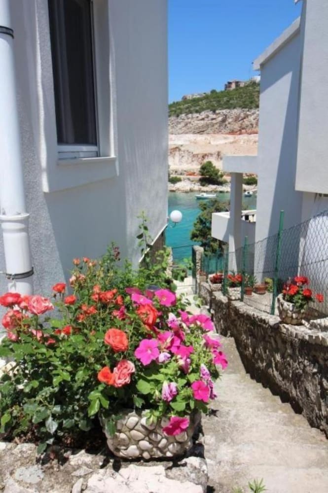Bobi - 10 M From the sea - SA2 view 4