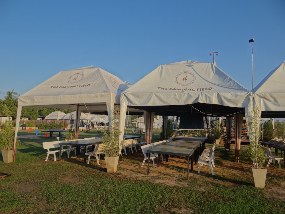 The Camping Field