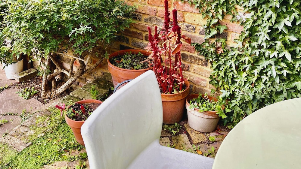 Lovely 3-bed Apartment & Garden & dog Friendly