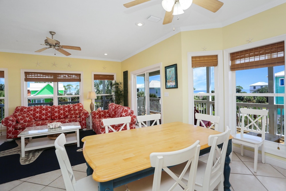 Cape Palms
