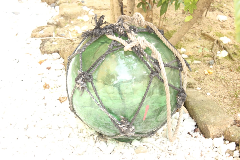 Okinawa Minshuku Kariyushi Honkan