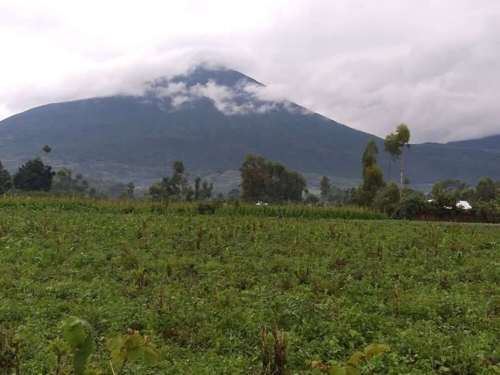 The Den Soroti Green