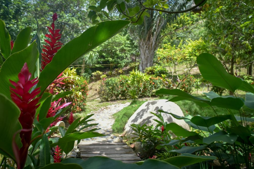 Ecohabs Bosques del Tayrona