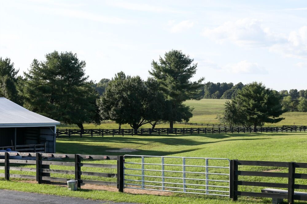 3547 Pleasant Run Rd view 4