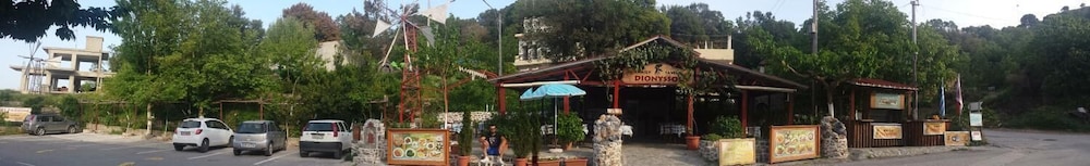 Dionysus Lasithi Plateau