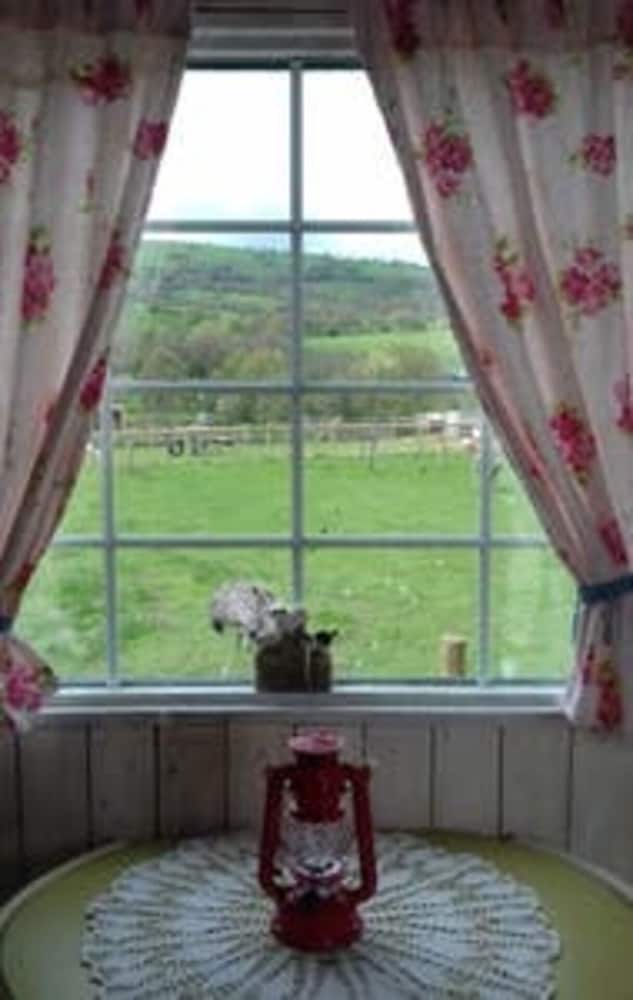 Ruby Shepherds hut Sleeps 4 view 4