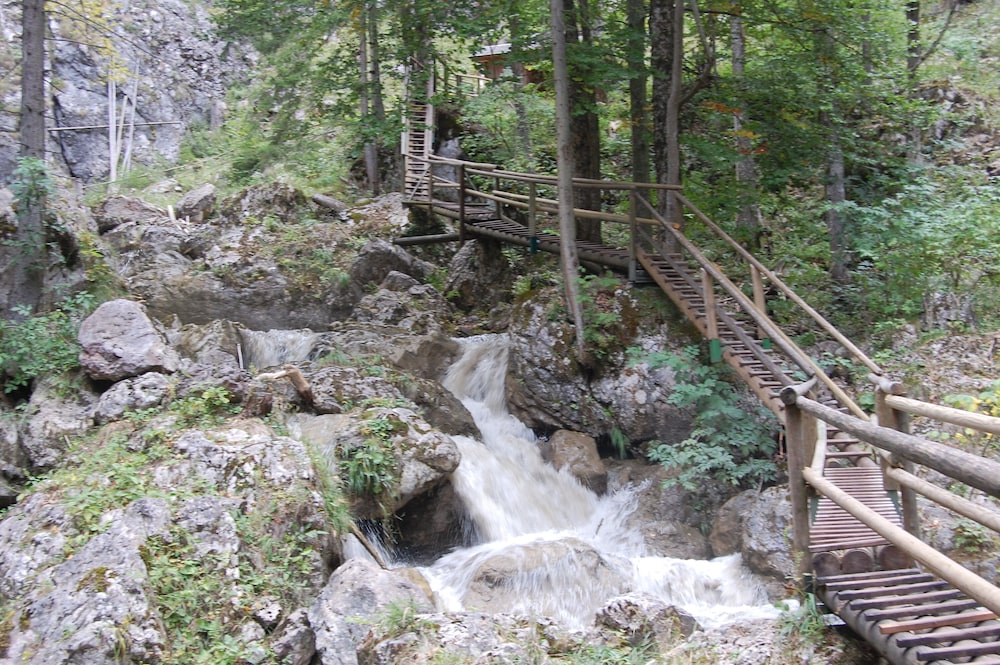 Photo 33