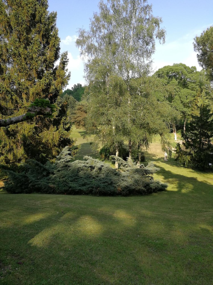 Photo 30
