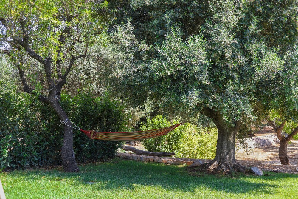 TD Trulli della Magnolia Trulli w/ Amazing Garden photo 3