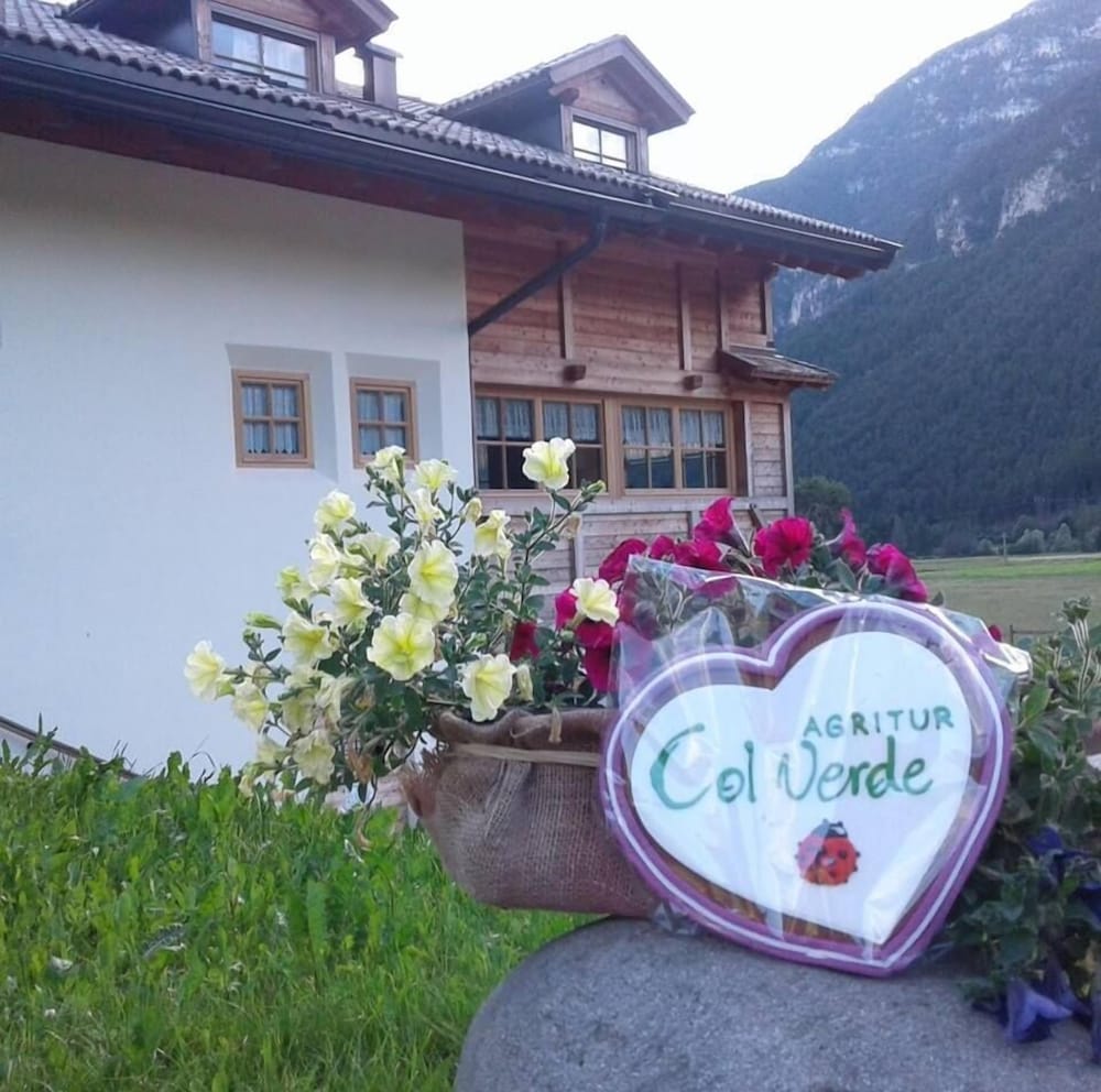 Agritur Col Verde B&B view 2