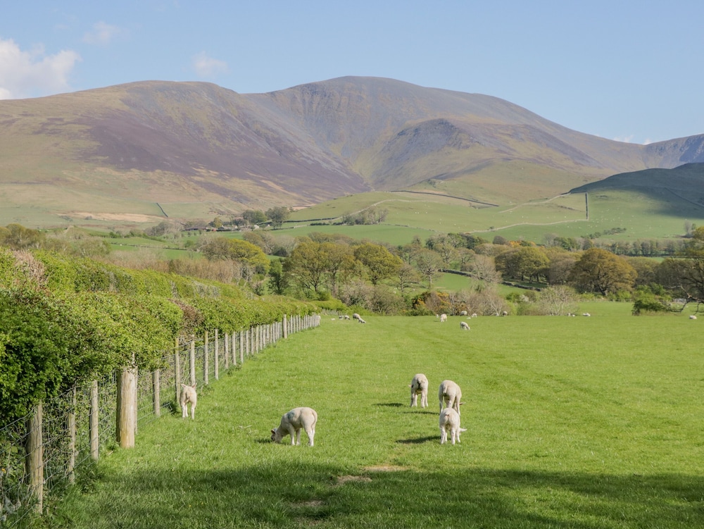 Ashness