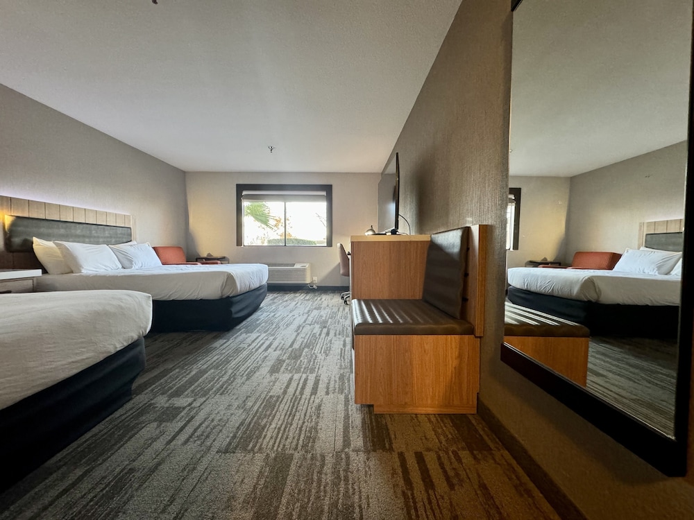 La Casa Modesto, Ascend Hotel Collection, Billede 13