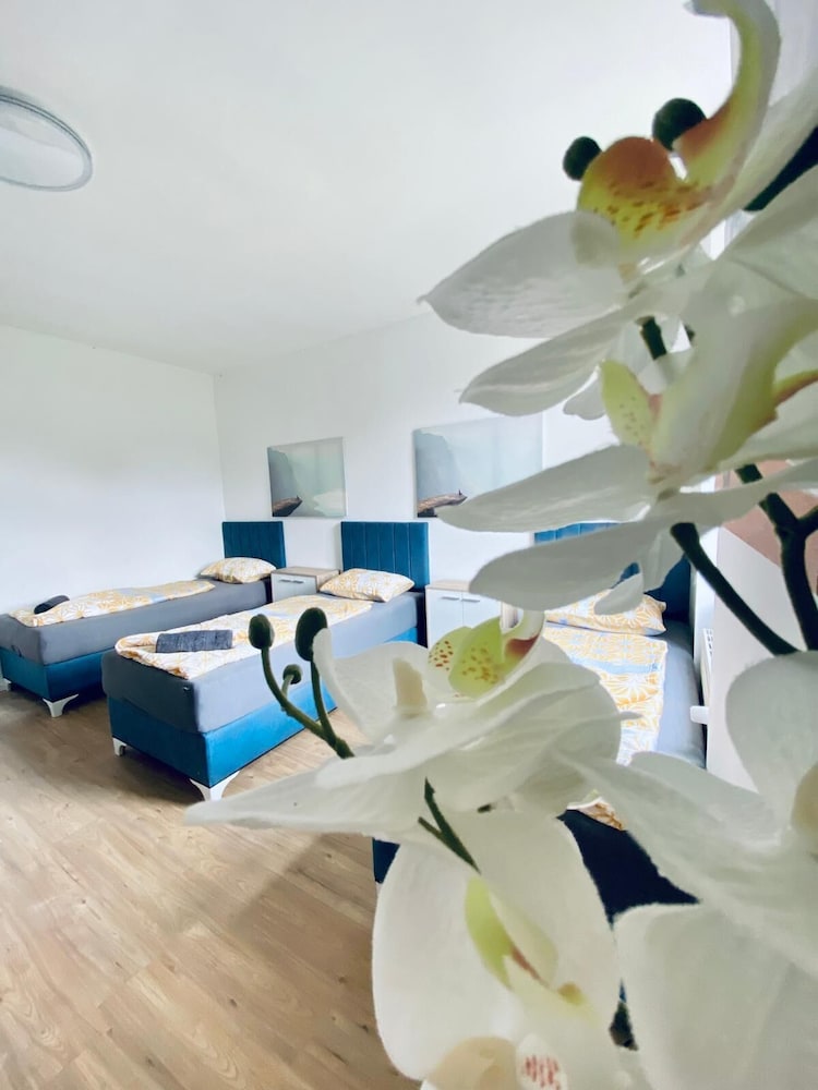 Spacious 4BR for 15 & 15 Min to Danube