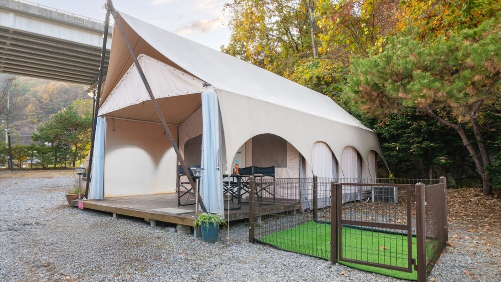 Gapeyong Fourseason Pet Glamping Caravan