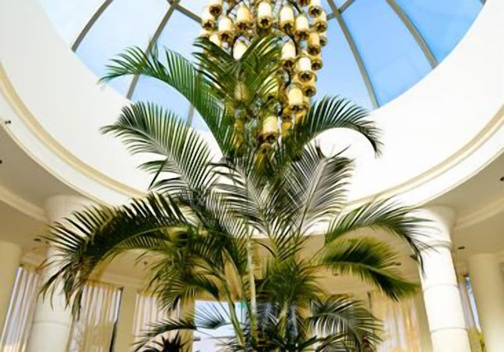 La Palmora Suites