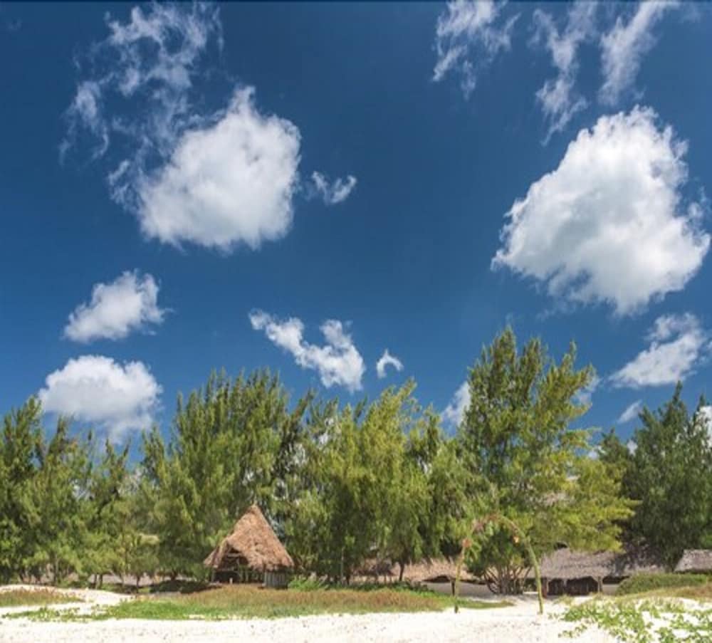 Hakuna Majiwe Beach Lodge