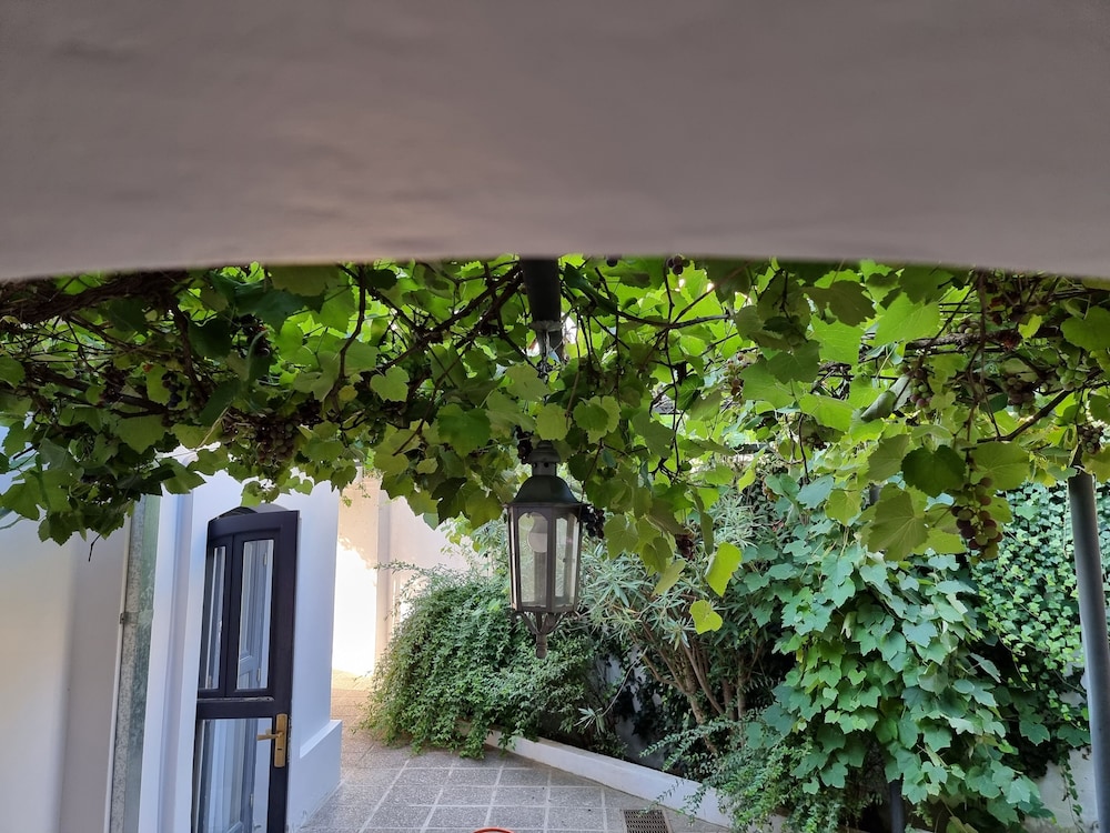 El Cerquero, Guest House
