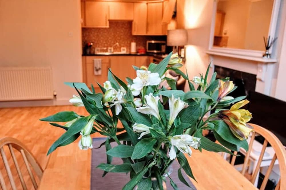 Cosy & Modern Apartment in Central Edinburgh