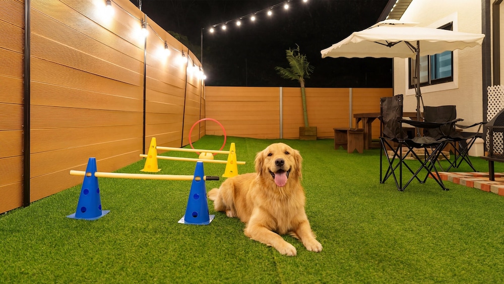 Taean Holy Dog Pool Villa